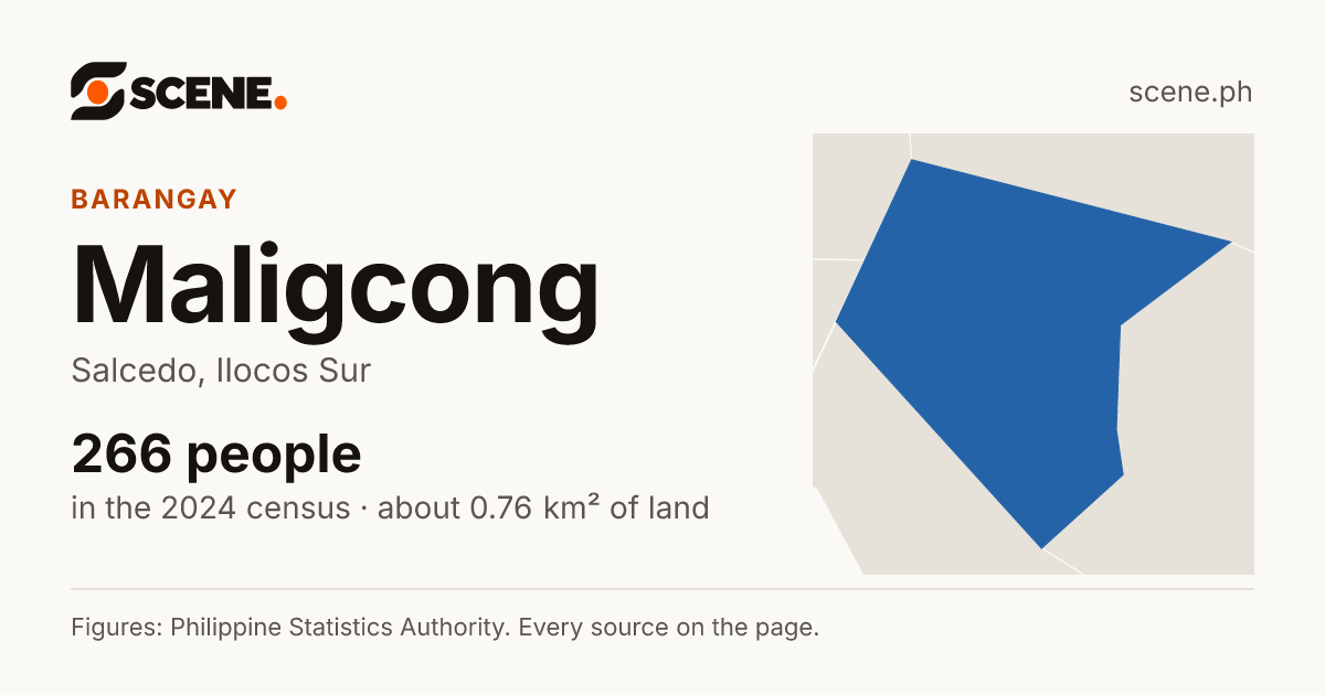 Maligcong, Salcedo, barangay: 266 people in the 2024 census