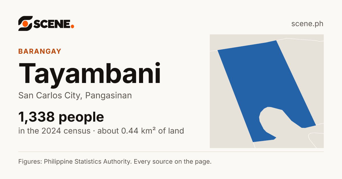 Tayambani, San Carlos City, barangay: 1,338 people in the 2024 census