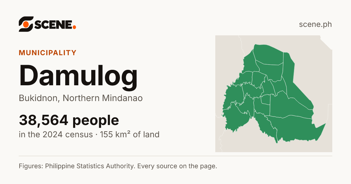 Damulog, Bukidnon, municipality: 38,564 people in the 2024 census