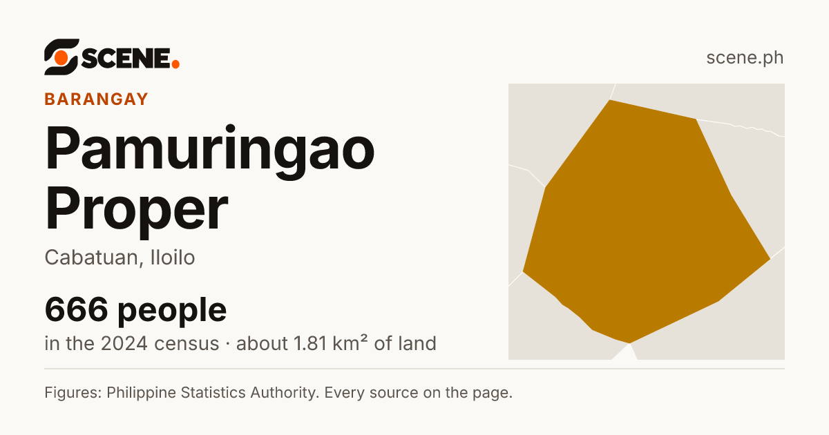 Pamuringao Proper, Cabatuan, barangay: 666 people in the 2024 census