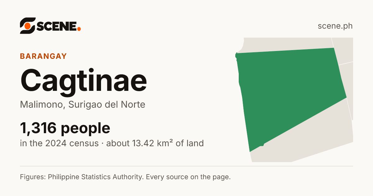 Cagtinae, Malimono, barangay: 1,316 people in the 2024 census