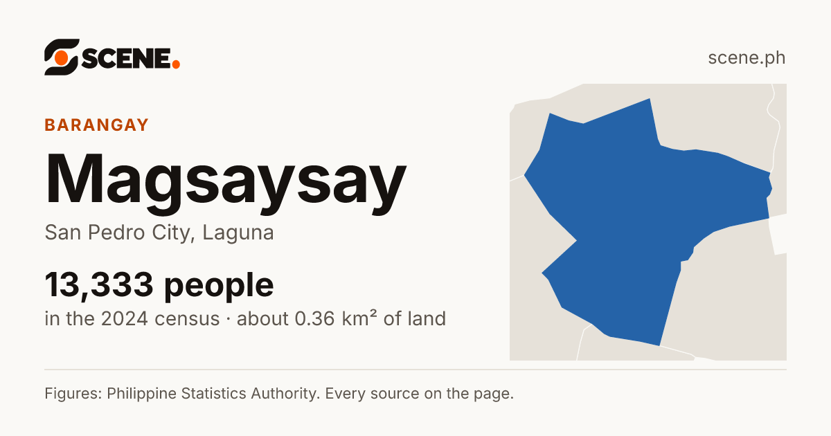 Magsaysay, San Pedro City, barangay: 13,333 people in the 2024 census