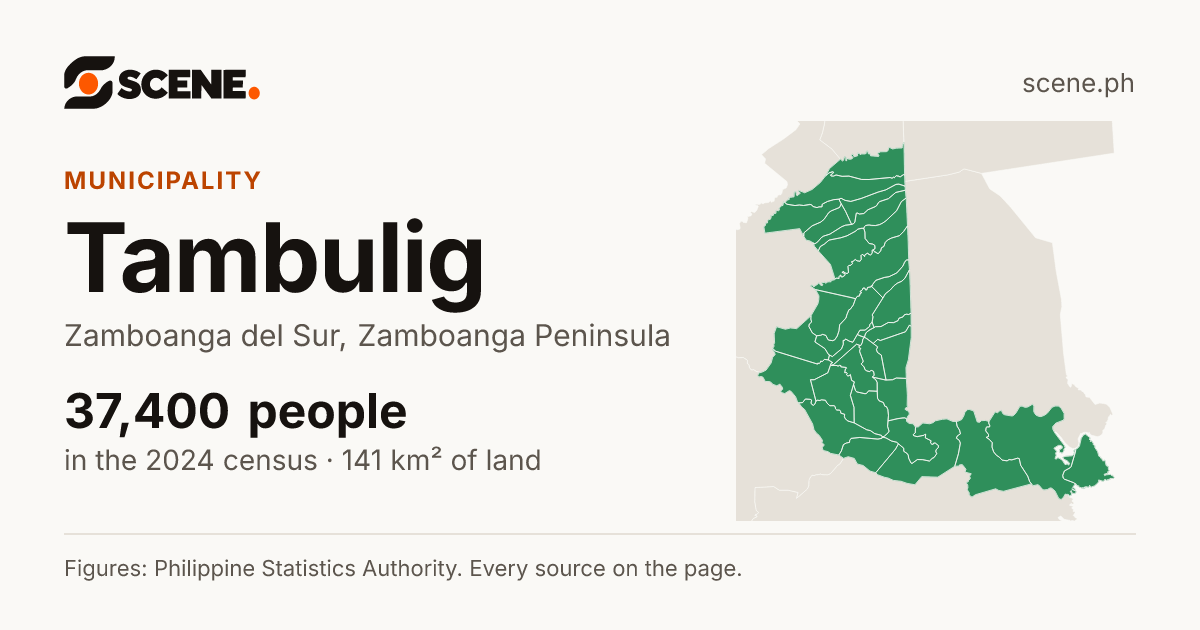 Tambulig, Zamboanga del Sur, municipality: 37,400 people in the 2024 census