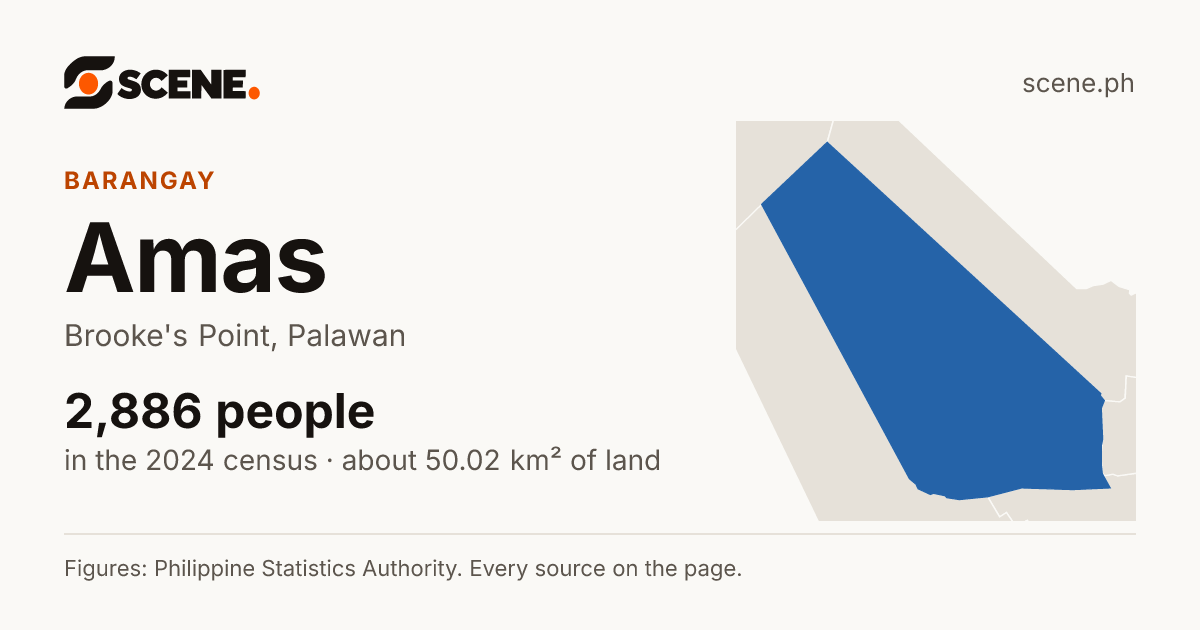 Amas, Brooke's Point, barangay: 2,886 people in the 2024 census