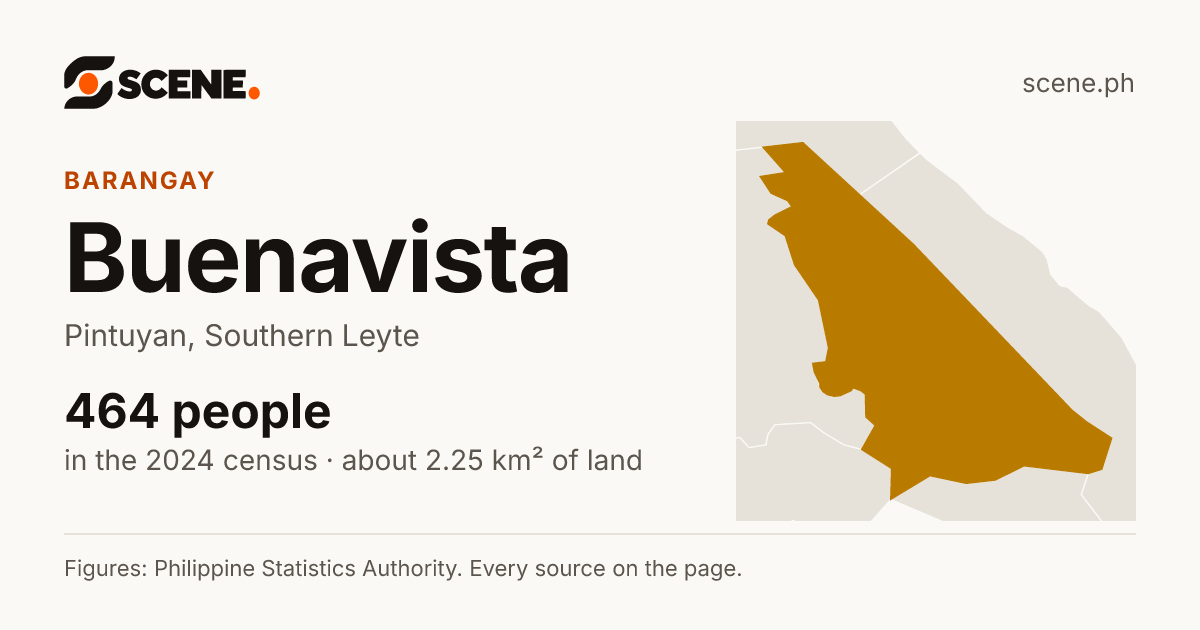 Buenavista, Pintuyan, barangay: 464 people in the 2024 census