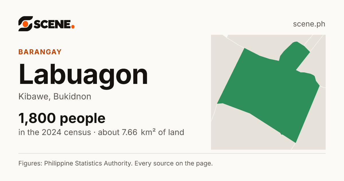 Labuagon, Kibawe, barangay: 1,800 people in the 2024 census
