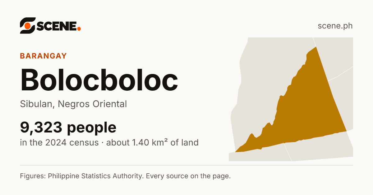 Bolocboloc, Sibulan, barangay: 9,323 people in the 2024 census