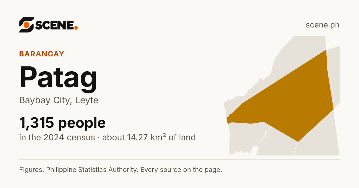 Patag, Baybay City, barangay: 1,315 people in the 2024 census