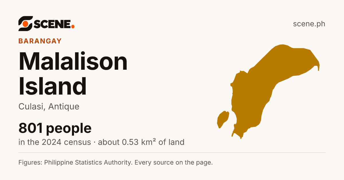 Malalison Island, Culasi, barangay: 801 people in the 2024 census