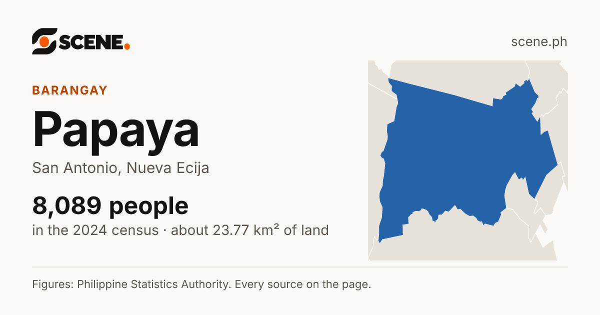 Papaya, San Antonio, barangay: 8,089 people in the 2024 census