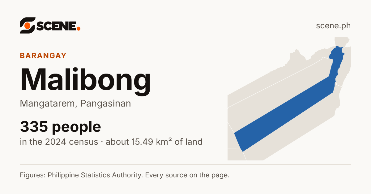 Malibong, Mangatarem, barangay: 335 people in the 2024 census