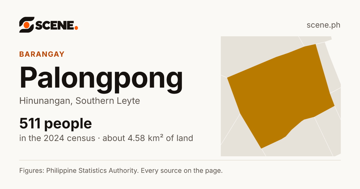 Palongpong, Hinunangan, barangay: 511 people in the 2024 census