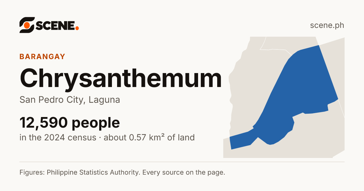 Chrysanthemum, San Pedro City, barangay: 12,590 people in the 2024 census