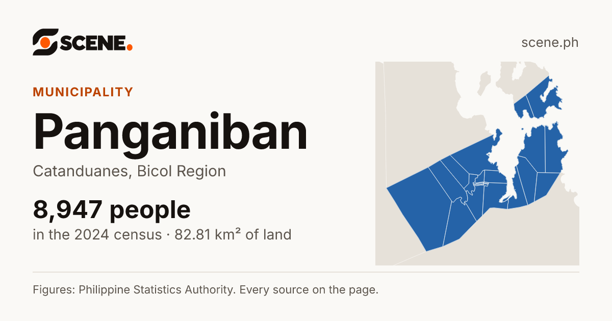 Panganiban, Catanduanes, municipality: 8,947 people in the 2024 census