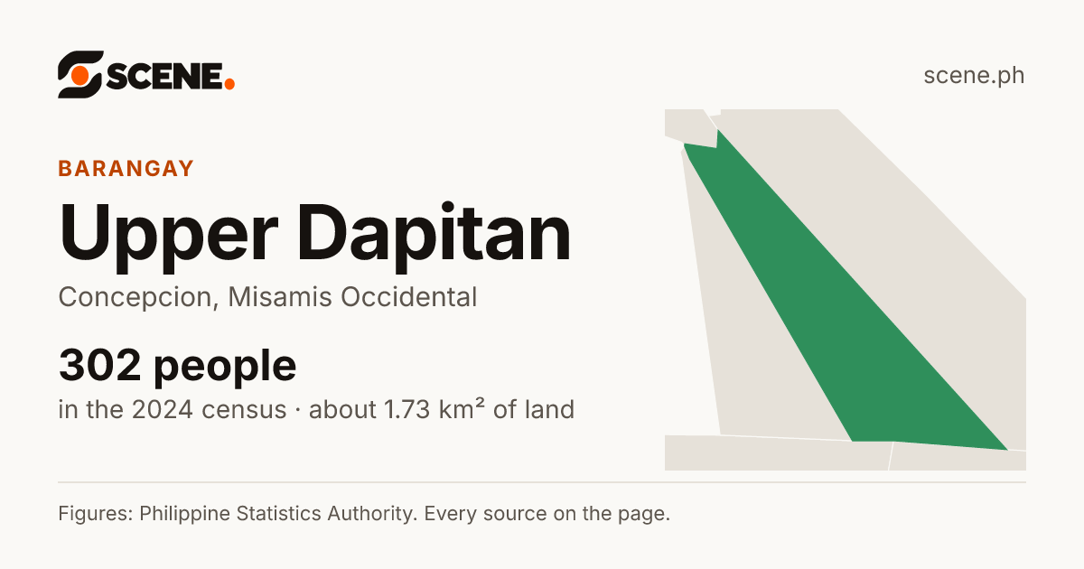 Upper Dapitan, Concepcion, barangay: 302 people in the 2024 census