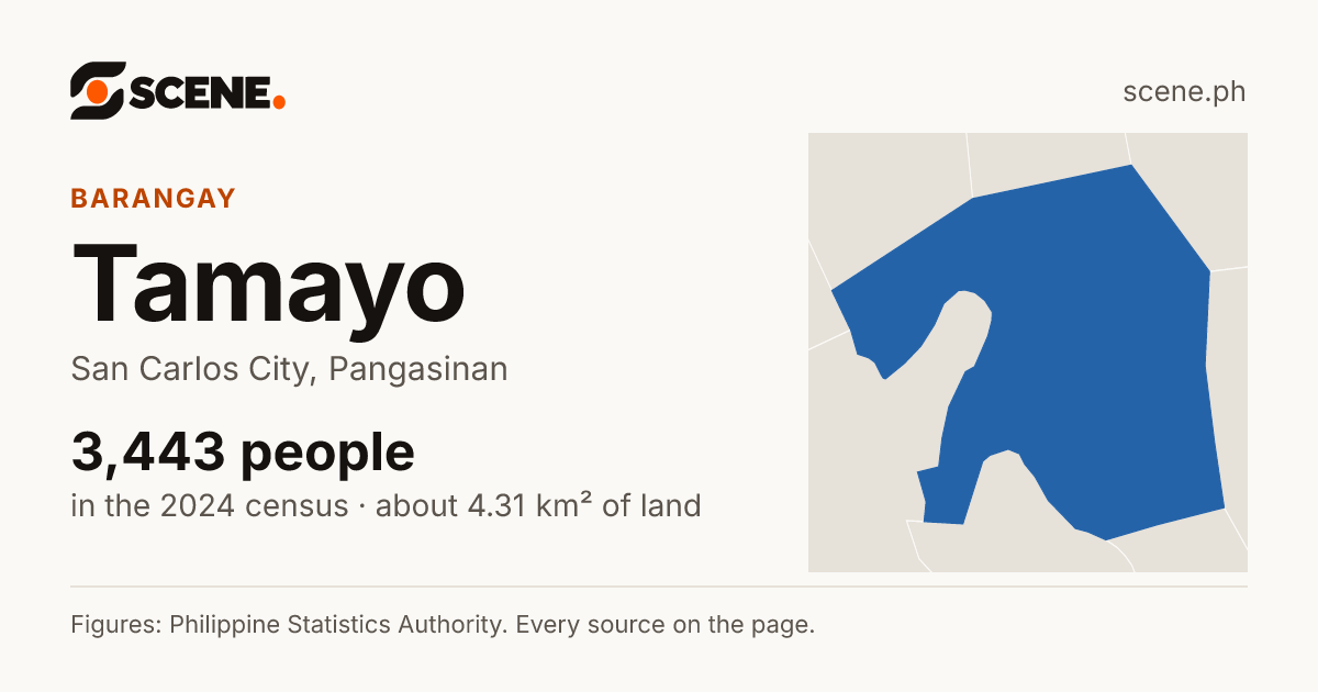 Tamayo, San Carlos City, barangay: 3,443 people in the 2024 census