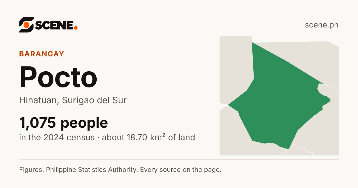 Pocto, Hinatuan, barangay: 1,075 people in the 2024 census