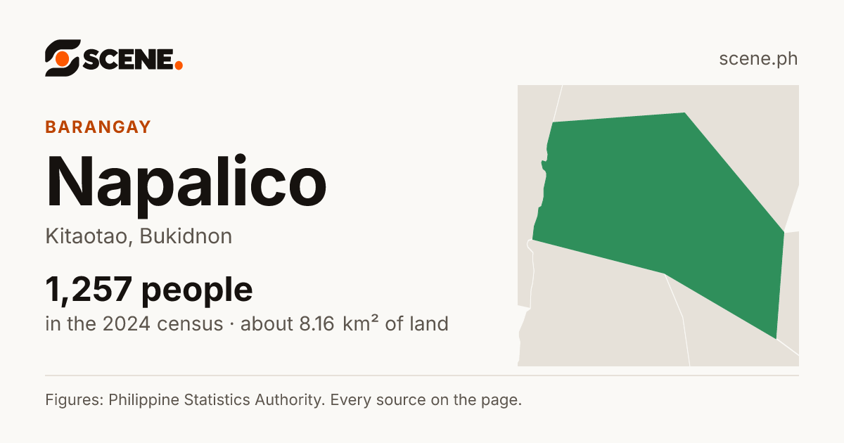 Napalico, Kitaotao, barangay: 1,257 people in the 2024 census