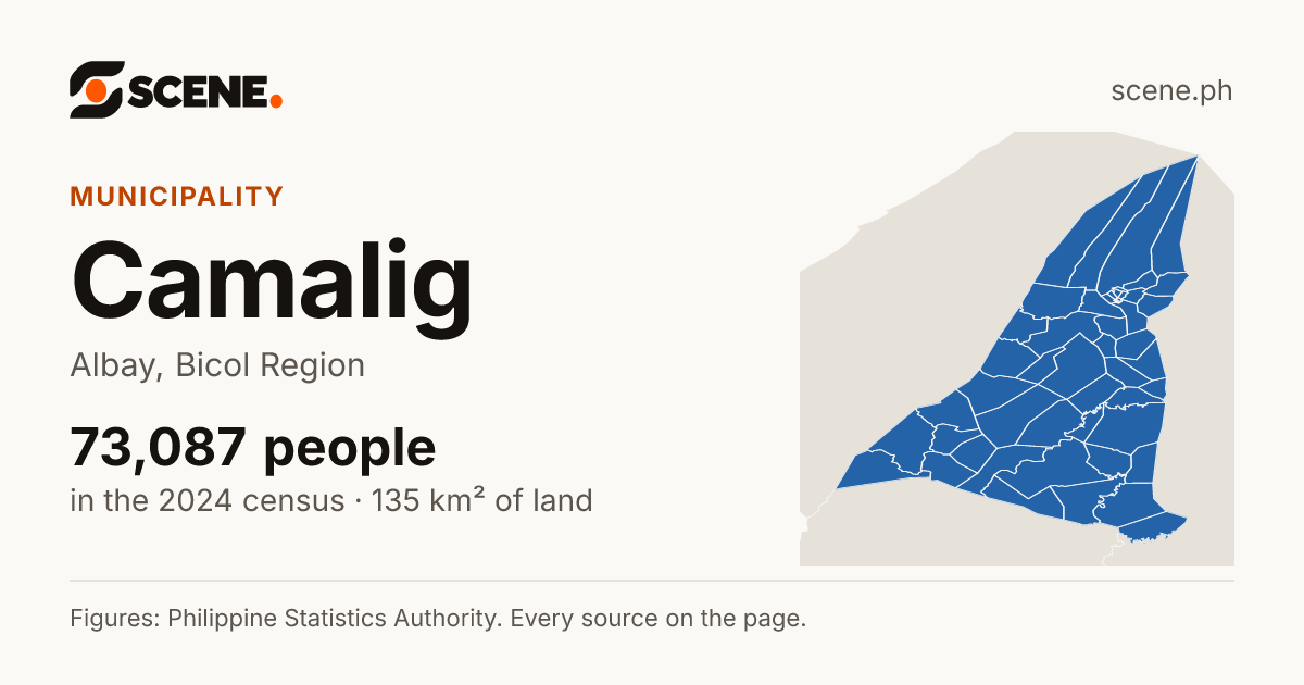 Camalig, Albay, municipality: 73,087 people in the 2024 census