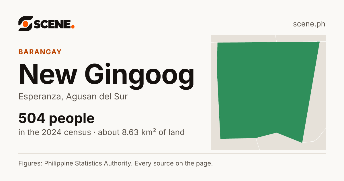New Gingoog, Esperanza, barangay: 504 people in the 2024 census