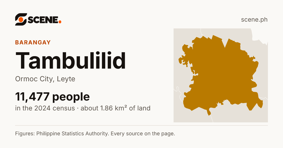 Tambulilid, Ormoc City, barangay: 11,477 people in the 2024 census