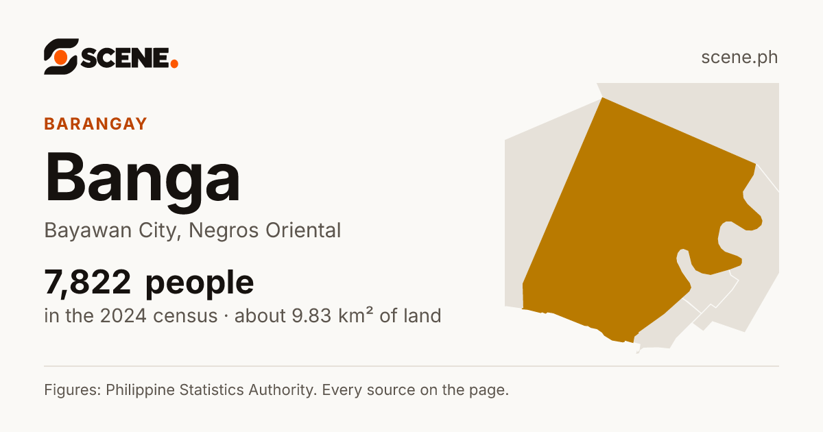 Banga, Bayawan City, barangay: 7,822 people in the 2024 census