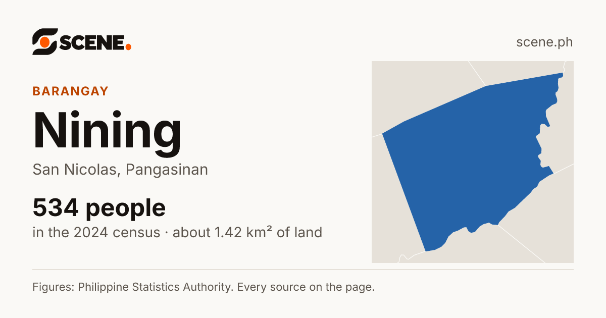 Nining, San Nicolas, barangay: 534 people in the 2024 census