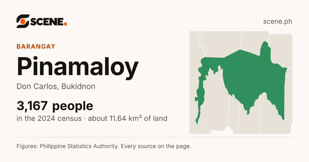 Pinamaloy, Don Carlos, barangay: 3,167 people in the 2024 census