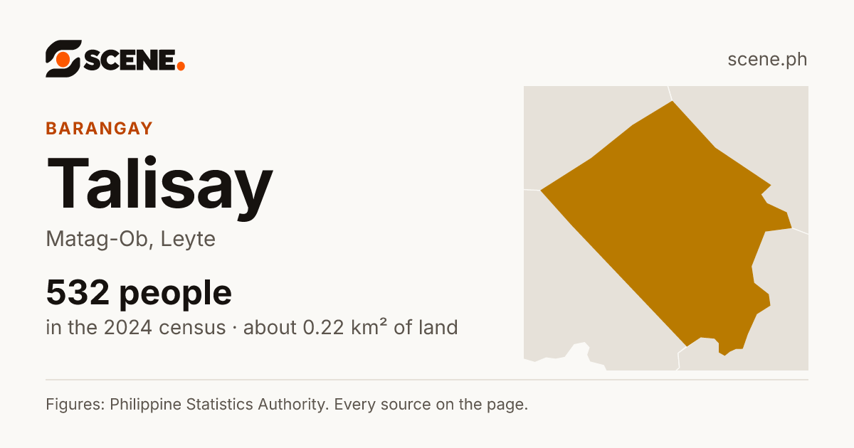 Talisay, Matag-Ob, barangay: 532 people in the 2024 census