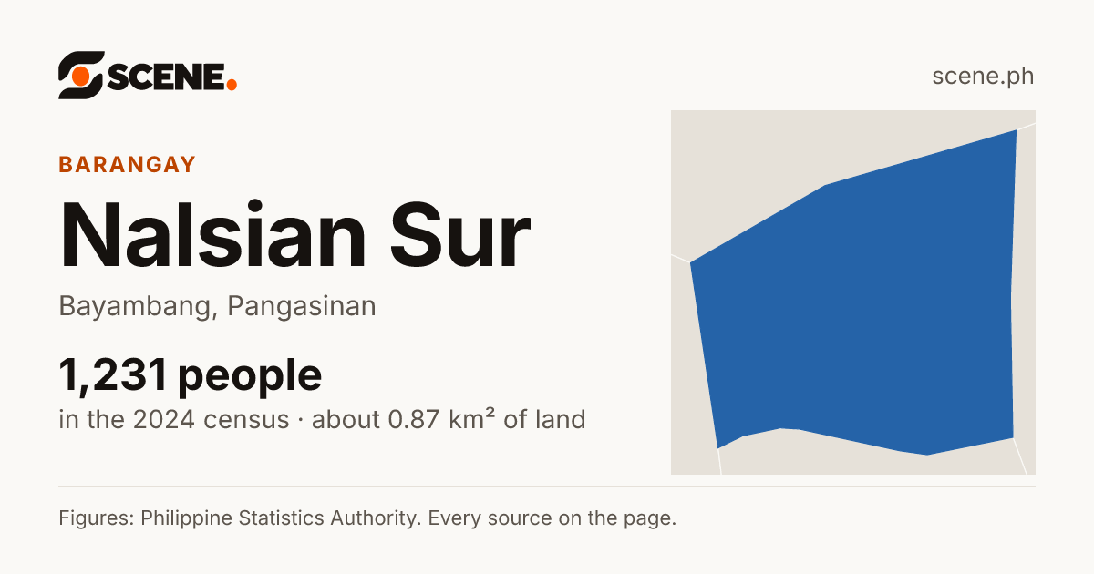 Nalsian Sur, Bayambang, barangay: 1,231 people in the 2024 census