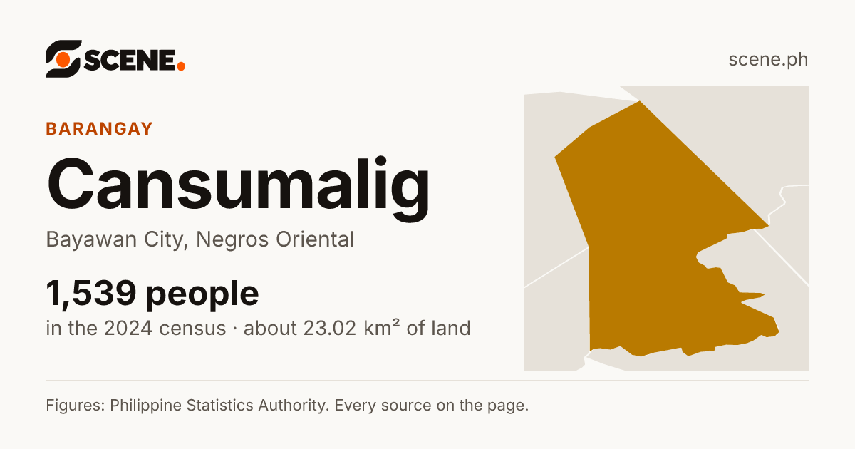 Cansumalig, Bayawan City, barangay: 1,539 people in the 2024 census