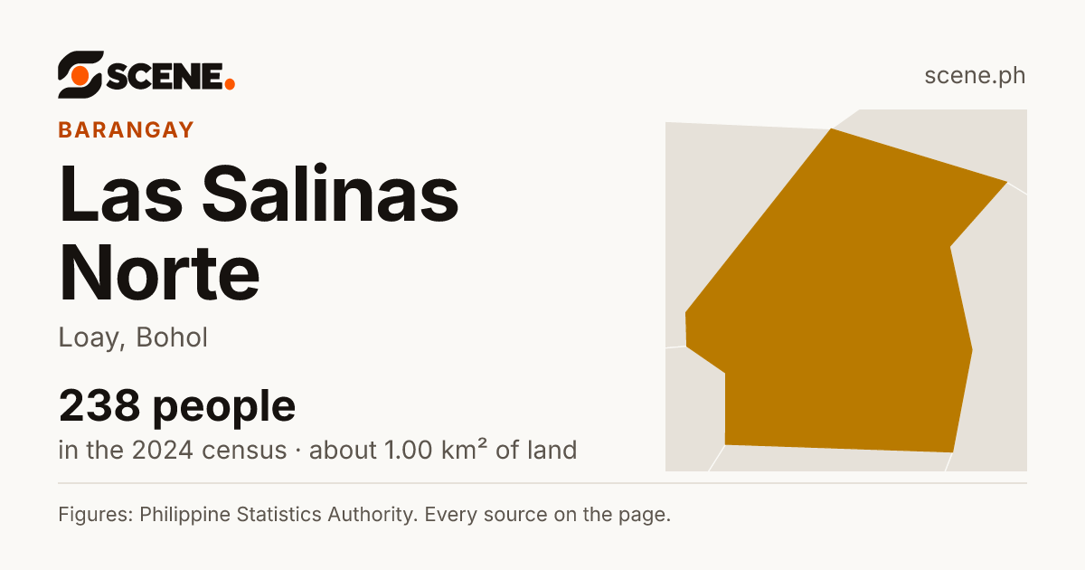 Las Salinas Norte, Loay, barangay: 238 people in the 2024 census