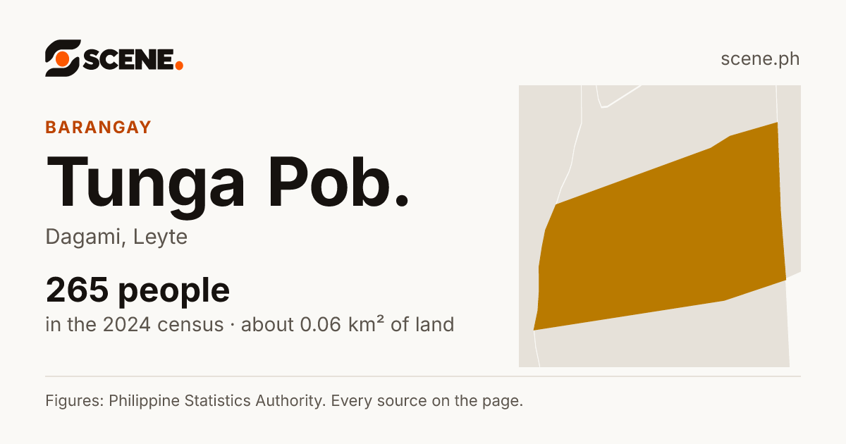 Tunga Pob., Dagami, barangay: 265 people in the 2024 census
