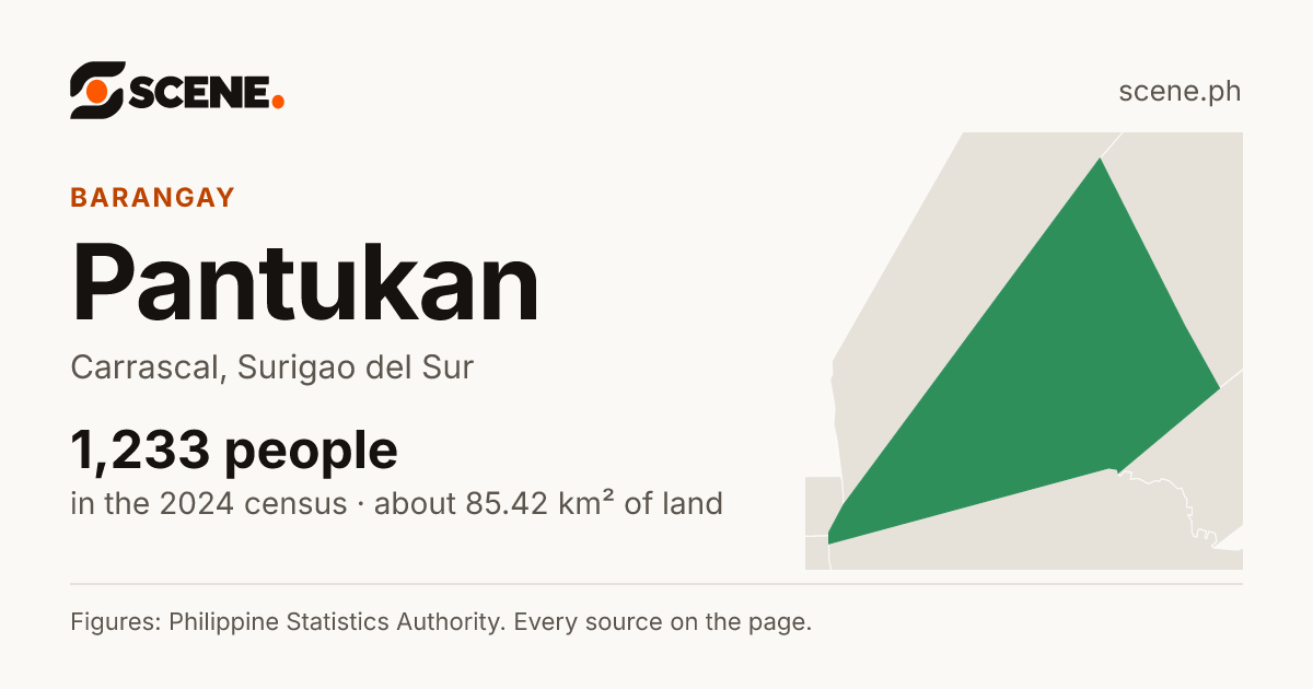 Pantukan, Carrascal, barangay: 1,233 people in the 2024 census