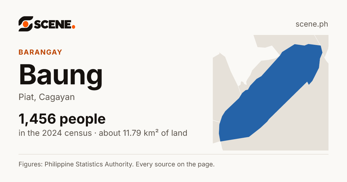 Baung, Piat, barangay: 1,456 people in the 2024 census