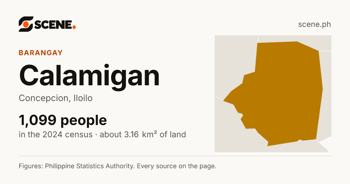 Calamigan, Concepcion, barangay: 1,099 people in the 2024 census