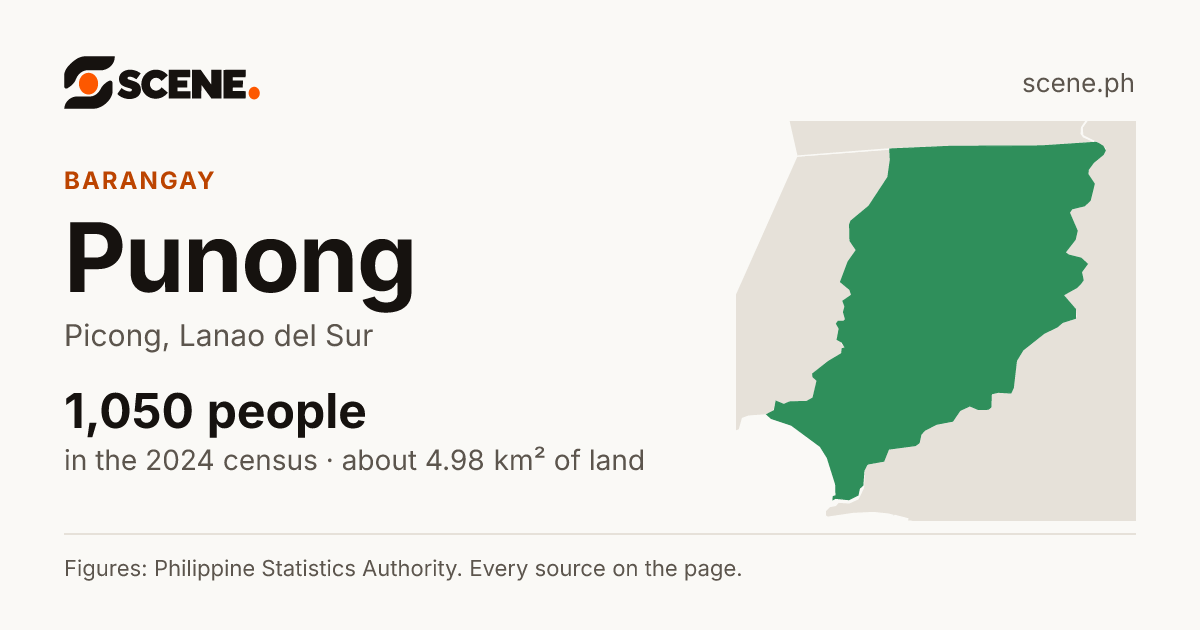 Punong, Picong, barangay: 1,050 people in the 2024 census