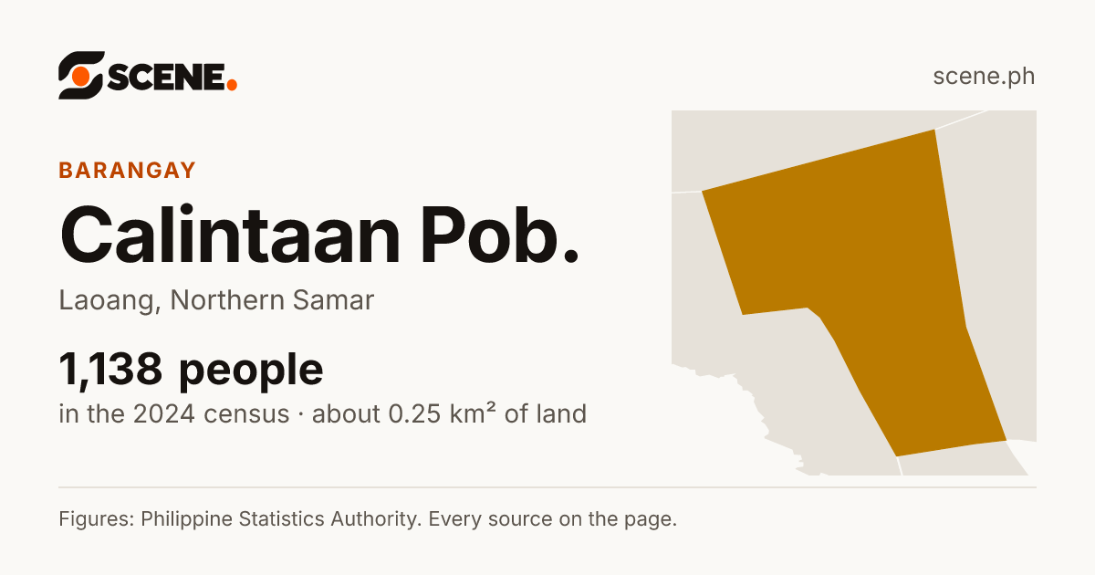 Calintaan Pob., Laoang, barangay: 1,138 people in the 2024 census