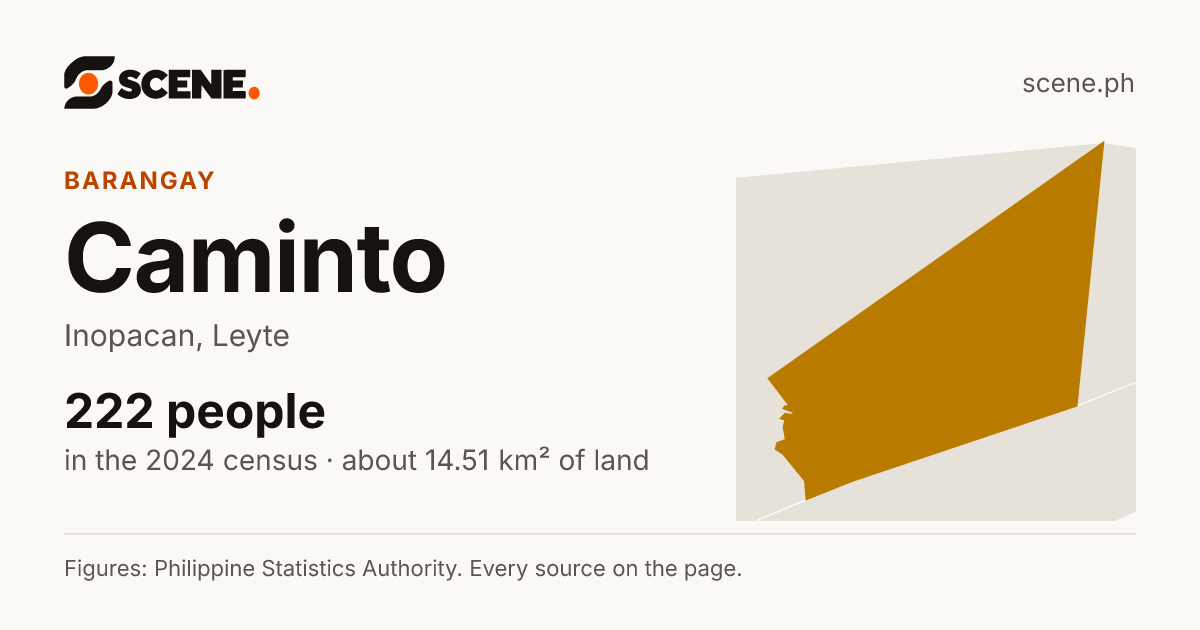 Caminto, Inopacan, barangay: 222 people in the 2024 census