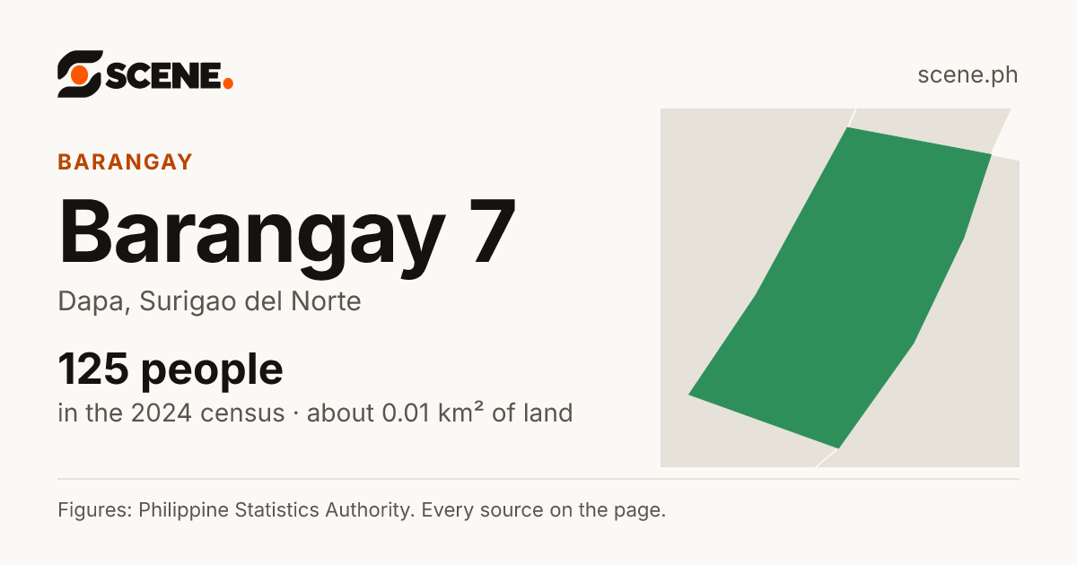 Barangay 7, Dapa, barangay: 125 people in the 2024 census