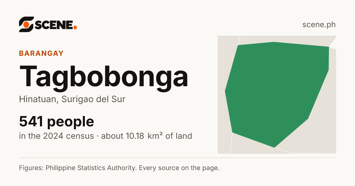 Tagbobonga, Hinatuan, barangay: 541 people in the 2024 census