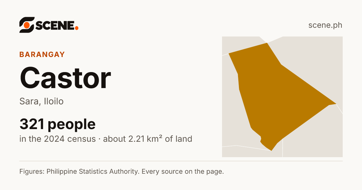 Castor, Sara, barangay: 321 people in the 2024 census