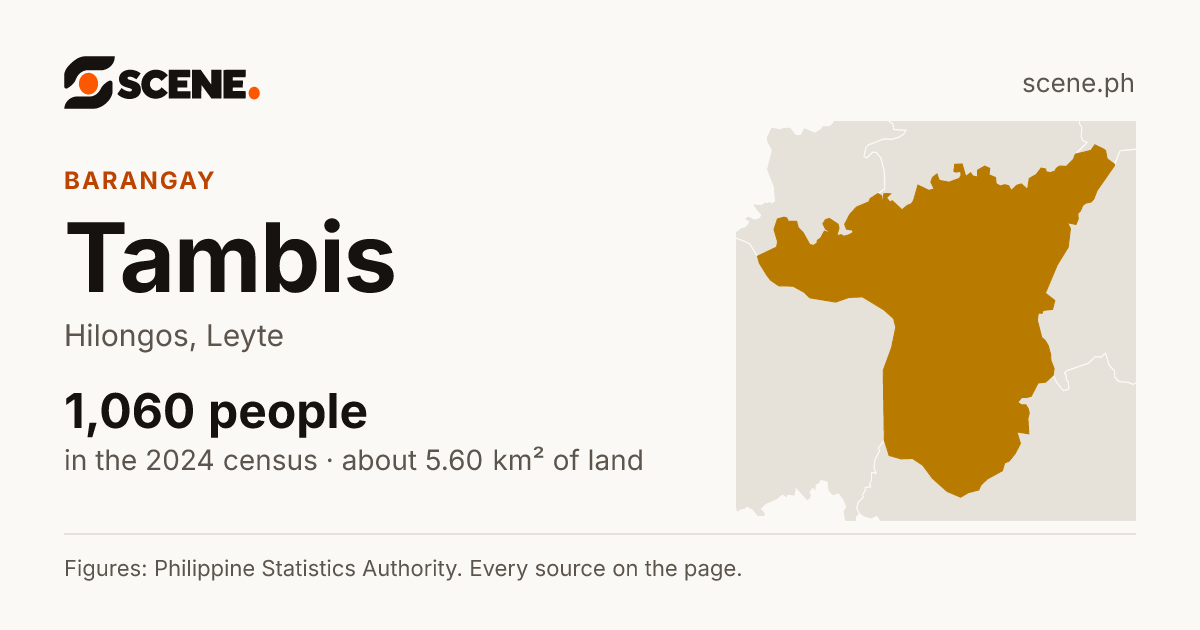 Tambis, Hilongos, barangay: 1,060 people in the 2024 census