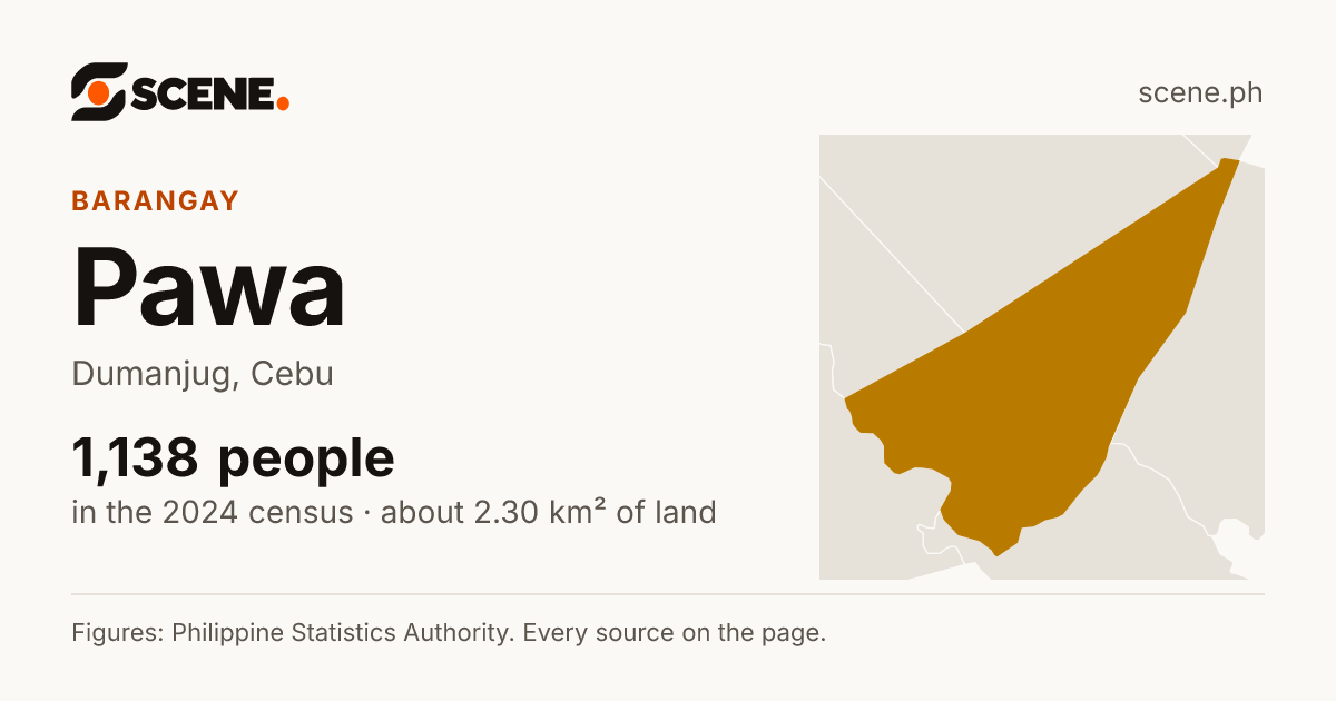 Pawa, Dumanjug, barangay: 1,138 people in the 2024 census