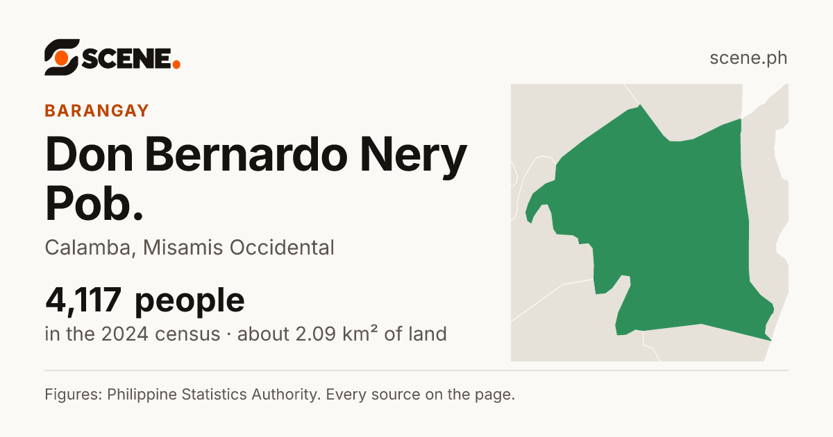 Don Bernardo Nery Pob., Calamba, barangay: 4,117 people in the 2024 census