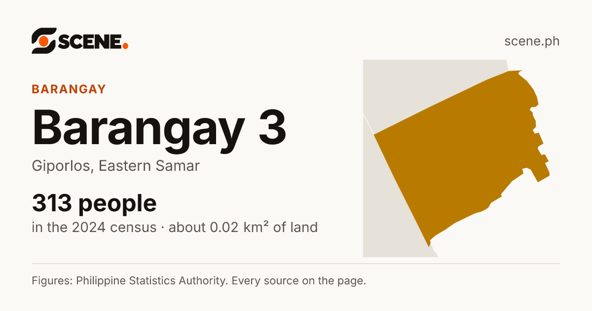 Barangay 3, Giporlos, barangay: 313 people in the 2024 census