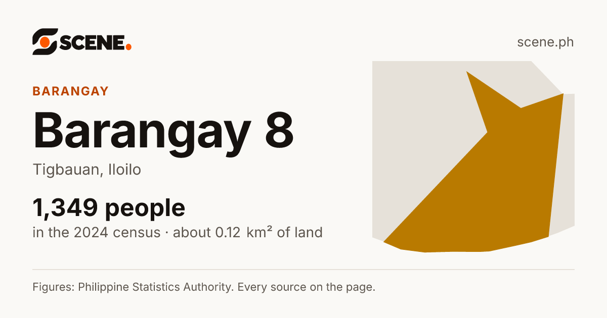 Barangay 8, Tigbauan, barangay: 1,349 people in the 2024 census