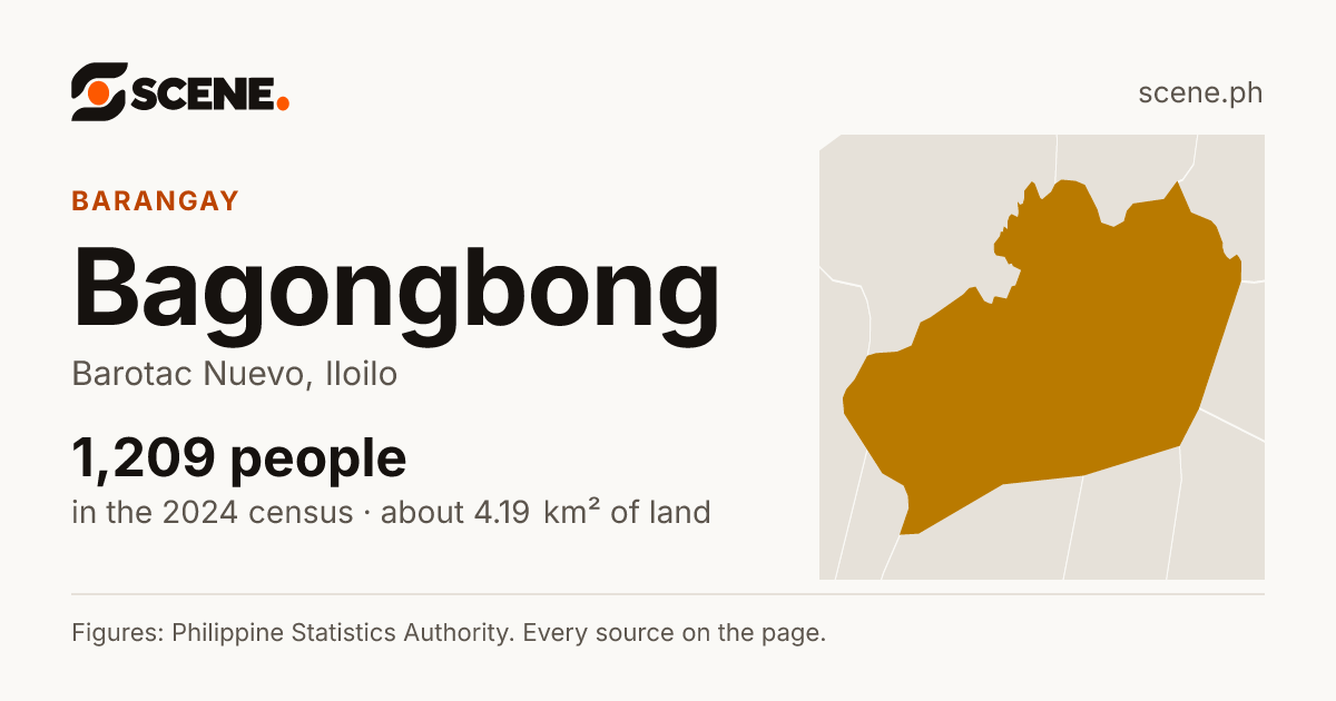 Bagongbong, Barotac Nuevo, barangay: 1,209 people in the 2024 census
