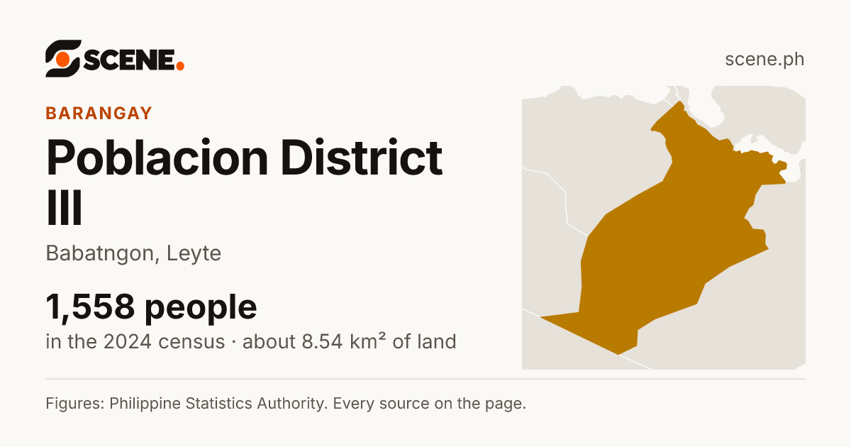 Poblacion District III, Babatngon, barangay: 1,558 people in the 2024 census