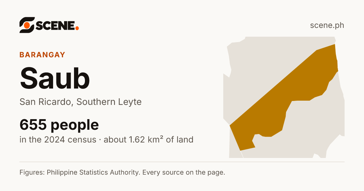 Saub, San Ricardo, barangay: 655 people in the 2024 census